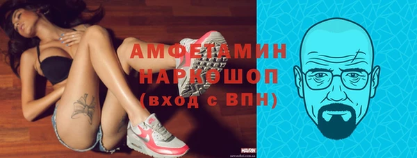 стаф Арсеньев