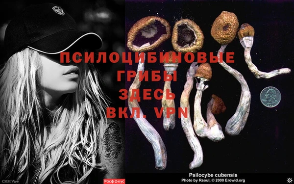 каннабис Армянск