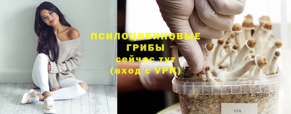 ПСИЛОЦИБИНОВЫЕ ГРИБЫ Аркадак