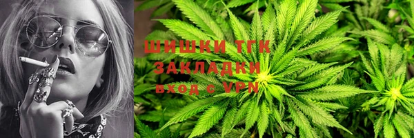ПСИЛОЦИБИНОВЫЕ ГРИБЫ Аркадак