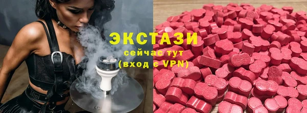 стаф Арсеньев