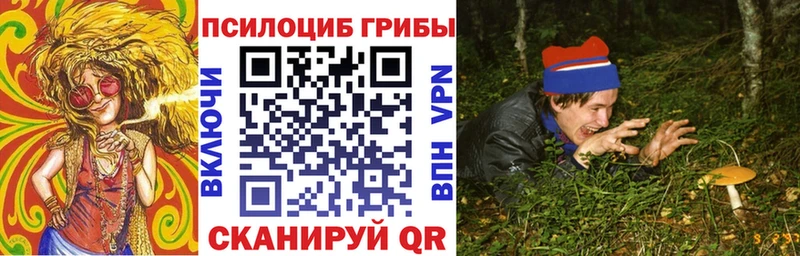 Галлюциногенные грибы Psilocybe  где купить   Советская Гавань 